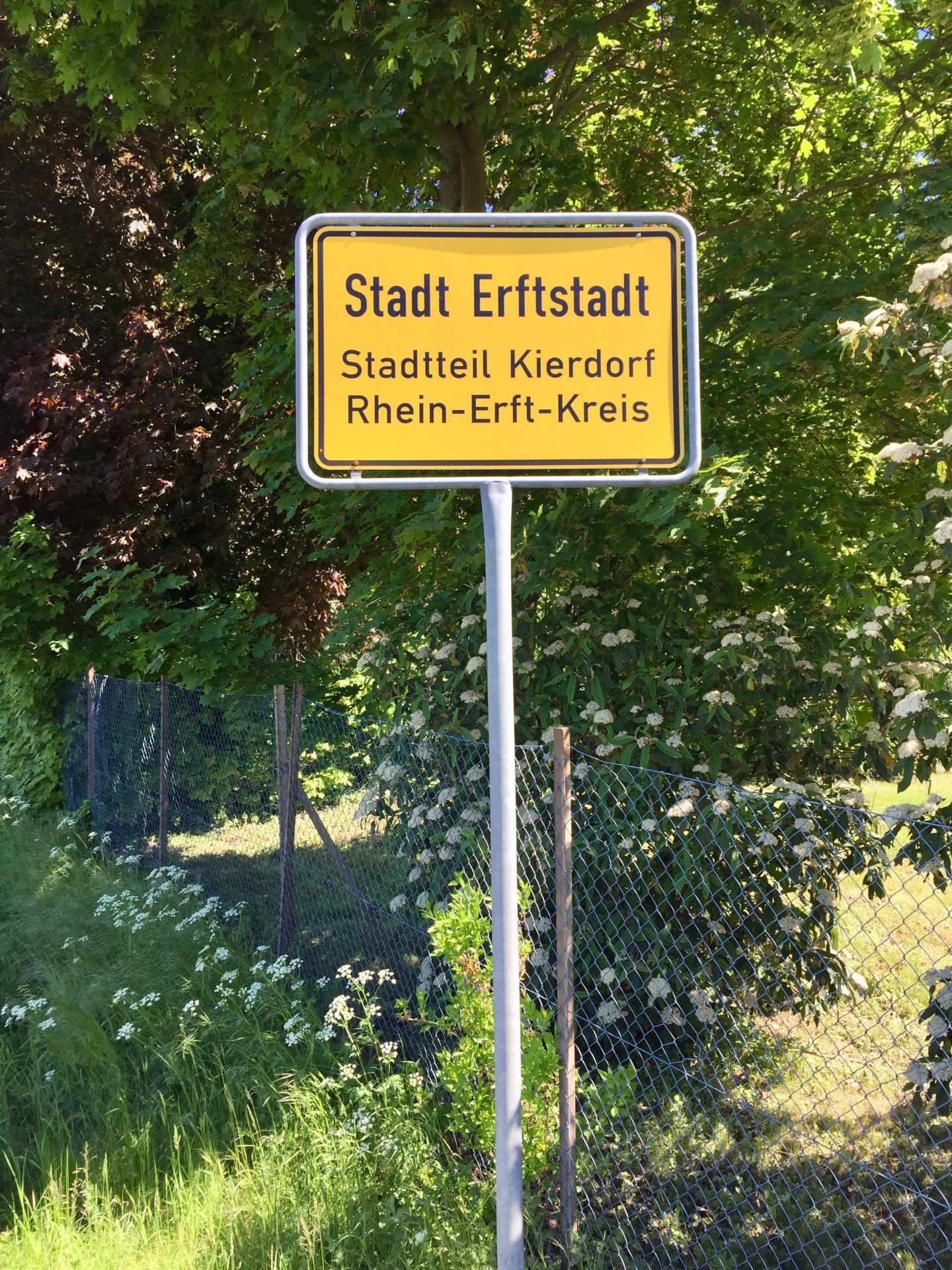 Vier Kitas für Erftstadt - Coloniakids